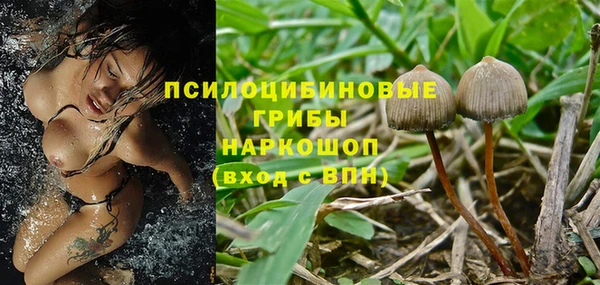 PSILOCYBIN Нея