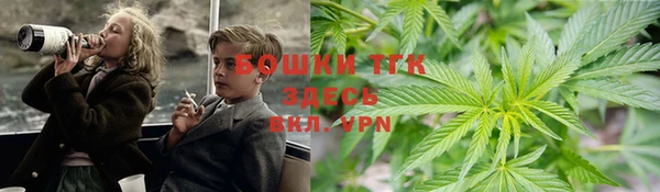 PSILOCYBIN Нея