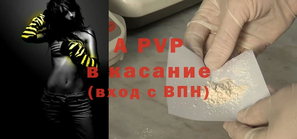 гашик Нефтекумск