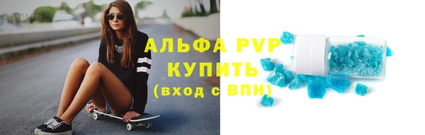 гашик Нефтекумск