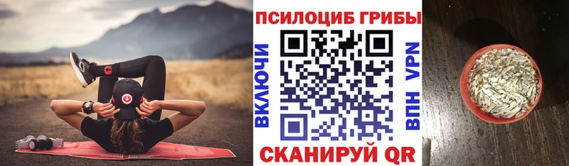 Псилоцибиновые грибы GOLDEN TEACHER  Северская 